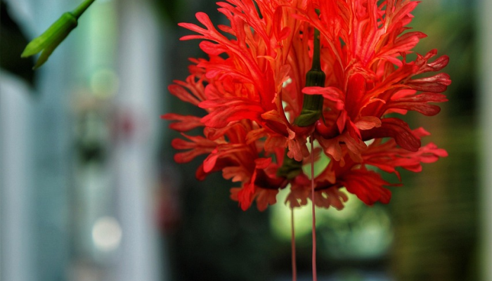 辅助神器“花花生活圈挂怎么开”(详细开挂教程) 辅助神器“花花生活圈挂怎么开”(详细开挂教程)