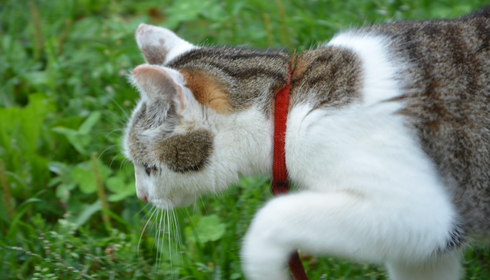 辅助神器“天天十三水到底有没有挂”揭秘技巧开挂 辅助神器“天天十三水到底有没有挂”揭秘技巧开挂
