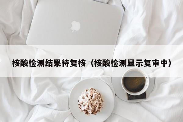 核酸检测结果待复核(核酸检测显示复审中)